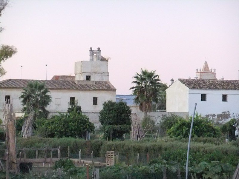 Hacienda blanca entre palmeras y huerta en Sevilla al atardecer
